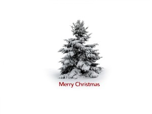 legend of the christmas tree VwSo